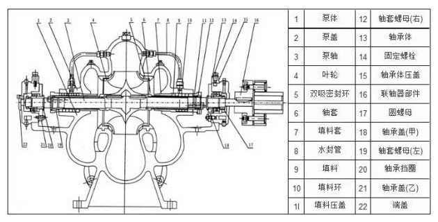 立式雙吸泵結構圖
