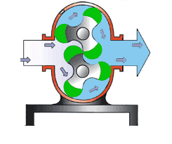 轉(zhuǎn)子泵的工作原理 轉(zhuǎn)子泵的工作原理